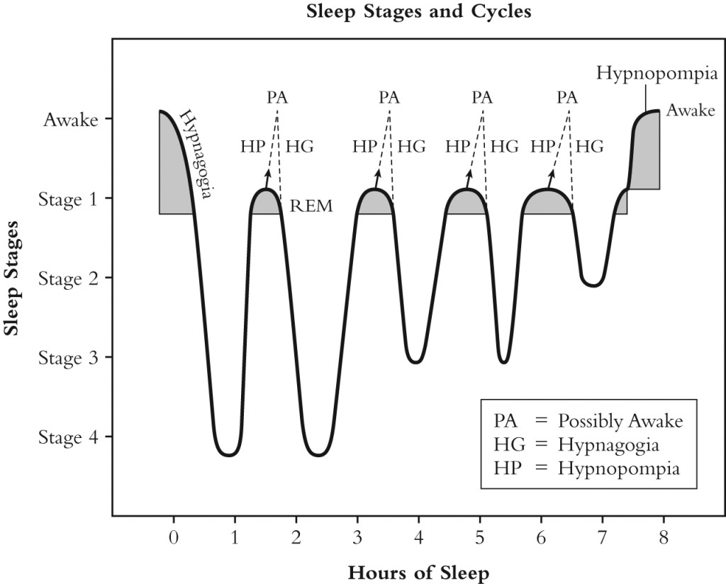 The Stages and Cycles of Sleep